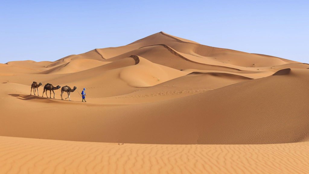  Sahara Desert – Camel Trekking & Stargazing in Merzouga