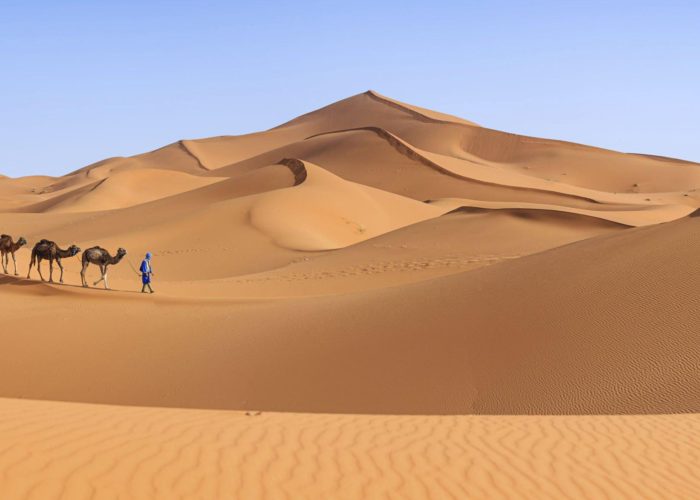 Sahara Desert – Camel Trekking & Stargazing in Merzouga