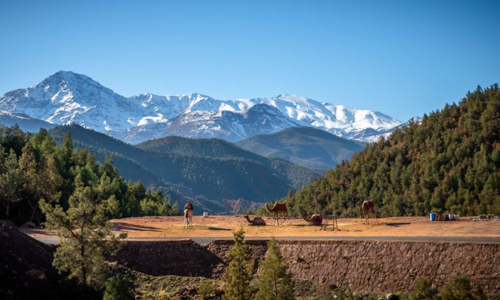 Day 2: Atlas Mountains – Berber Villages and Scenic Views