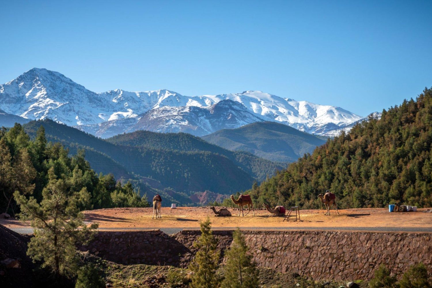 Day 2: Atlas Mountains – Berber Villages and Scenic Views