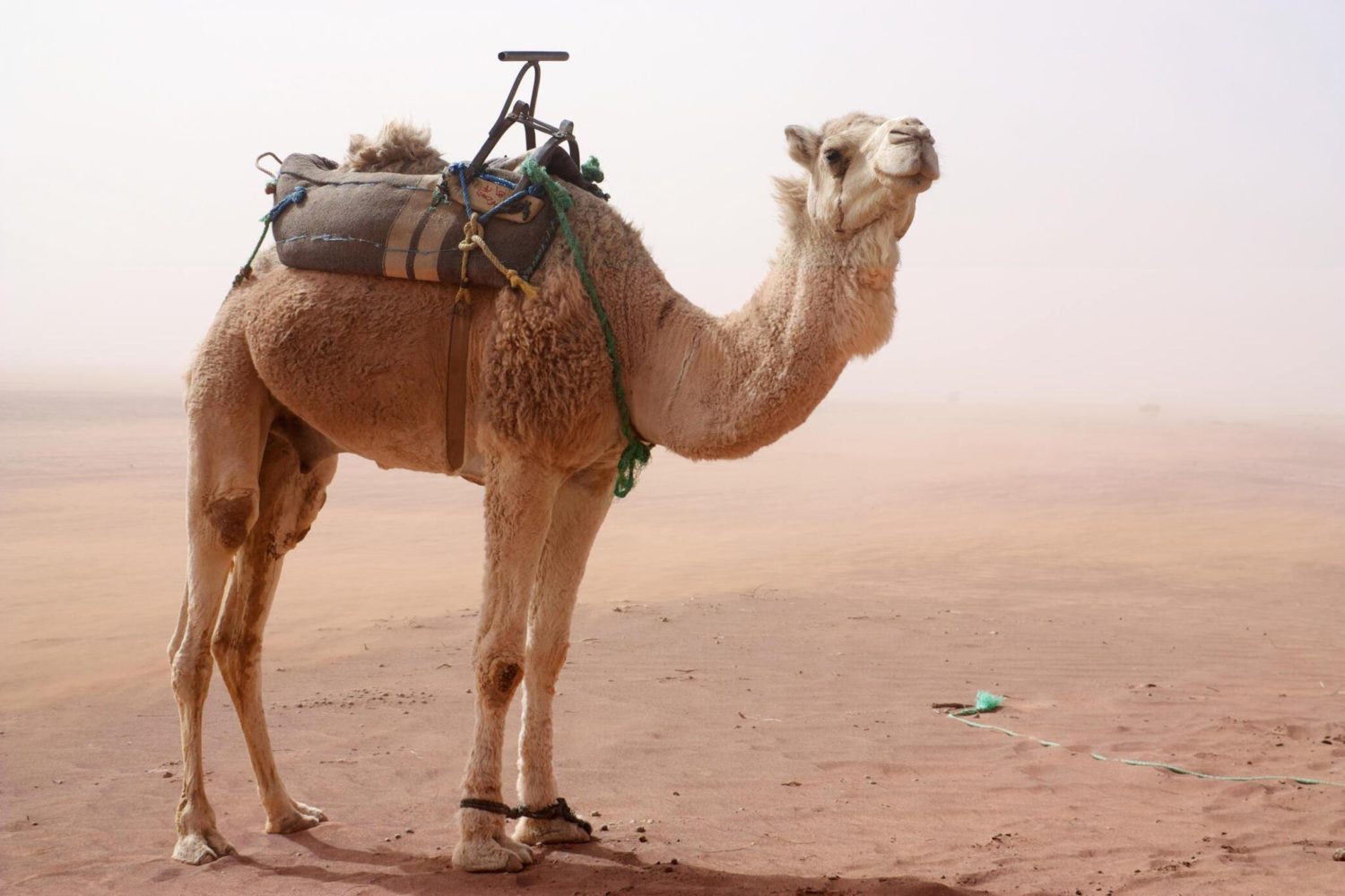 Chegaga, Morocco