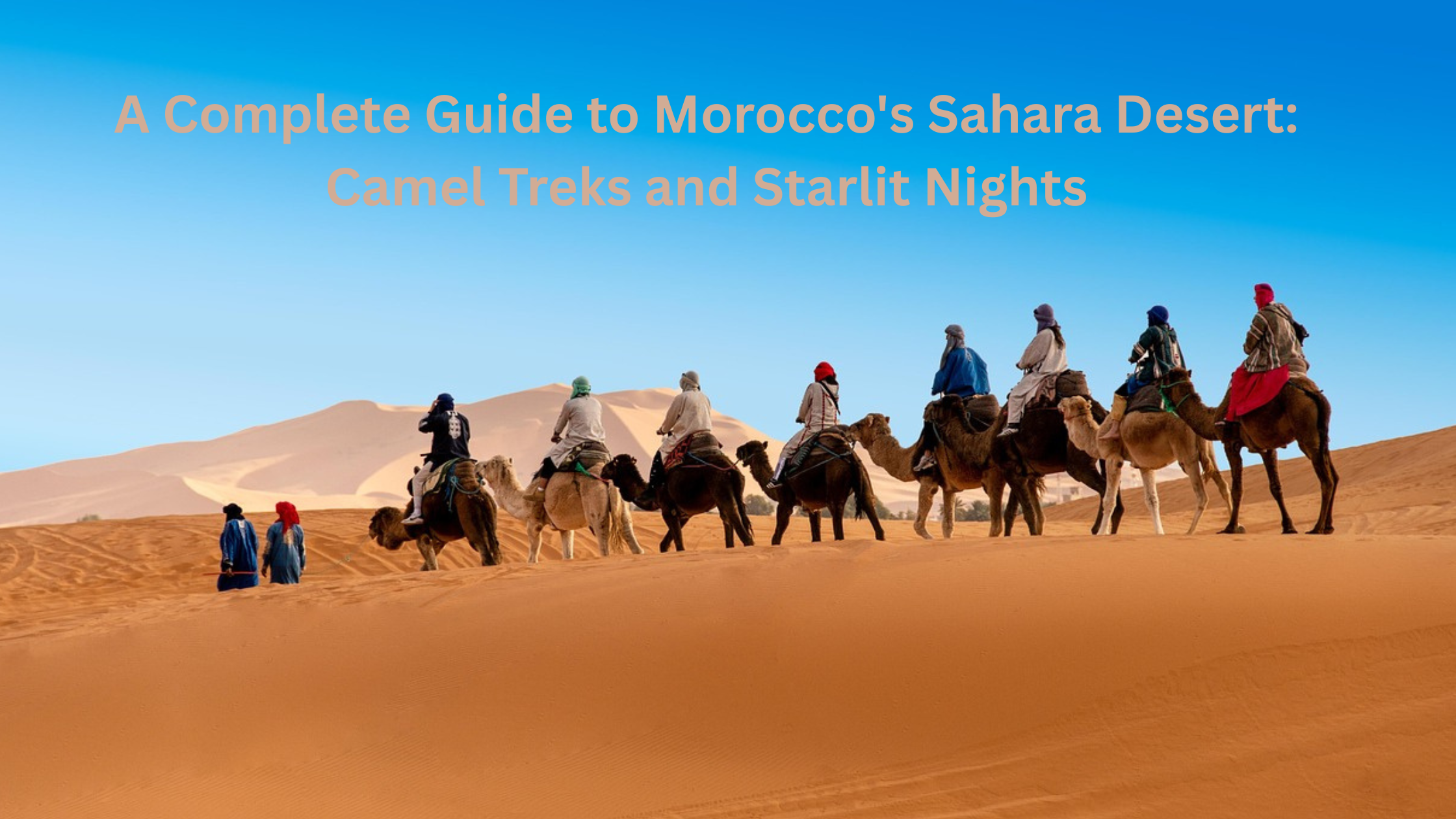 A Complete Guide to Morocco's Sahara Desert: Camel Treks and Starlit Nights