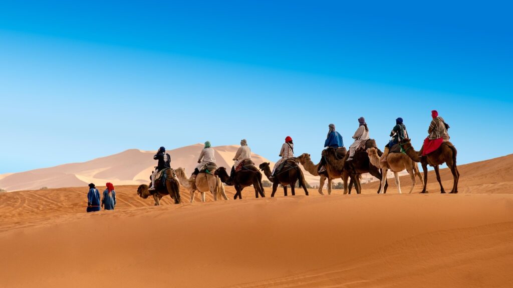 Planning Your Sahara Camel Trek